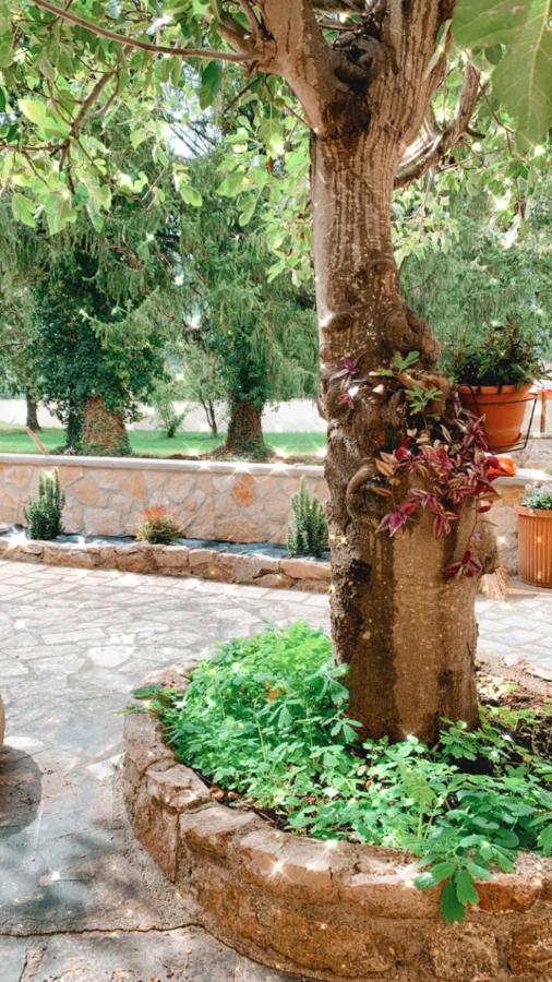 Residence Il Giardino Sul Fiume Nera Cerreto di Spoleto Екстериор снимка